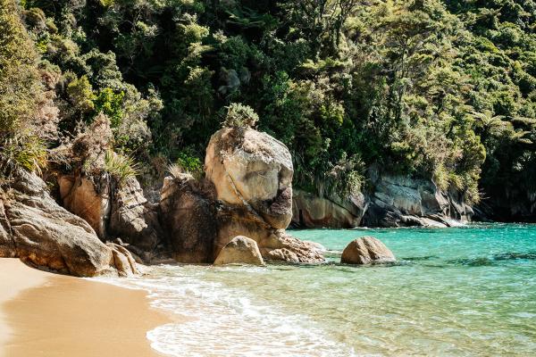 Abel Tasman National Park by Aimee Jules