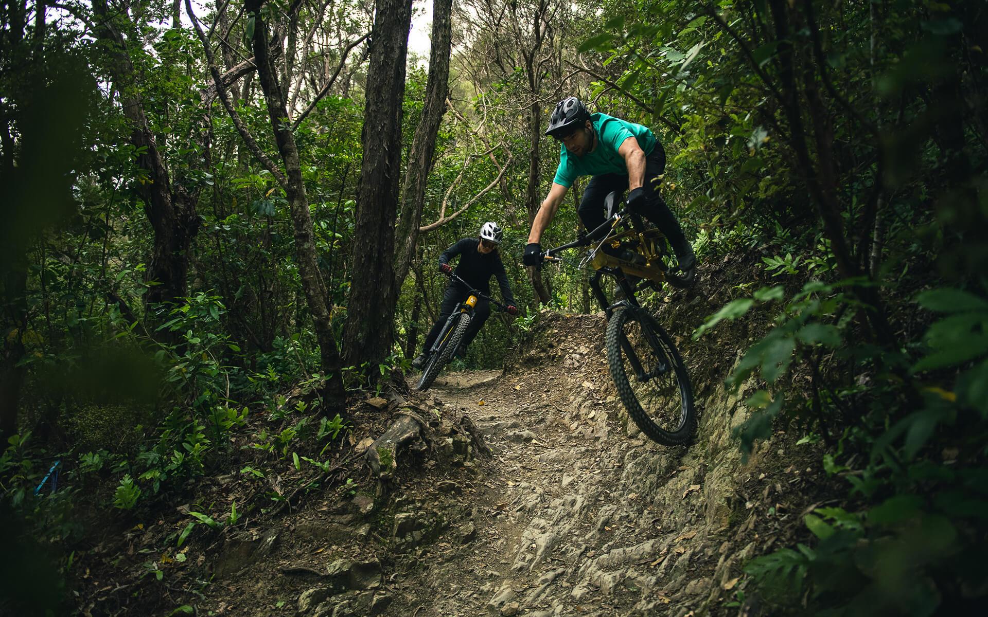 Pinkbike Destination Nelson Codgers MTB Park corner credit Jay French freeridenewzealand