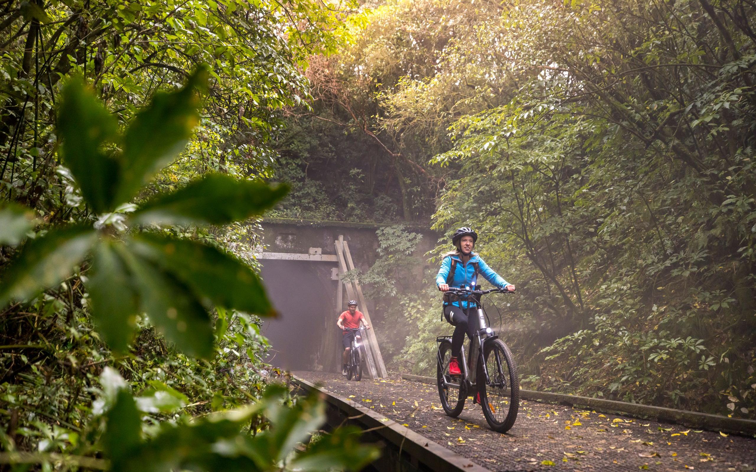 Spooners Tunnel Tasmans Great Taste Trail by Miles Holden 3