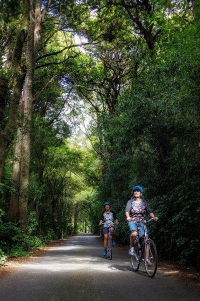 Biking Motueka River West Bank Road Great Taste Trail by Virginia Woolf