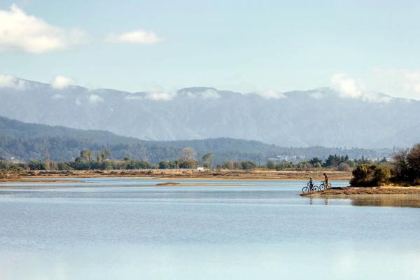 Mapua landscape biking Great Taste Trail by Virginia Woolf