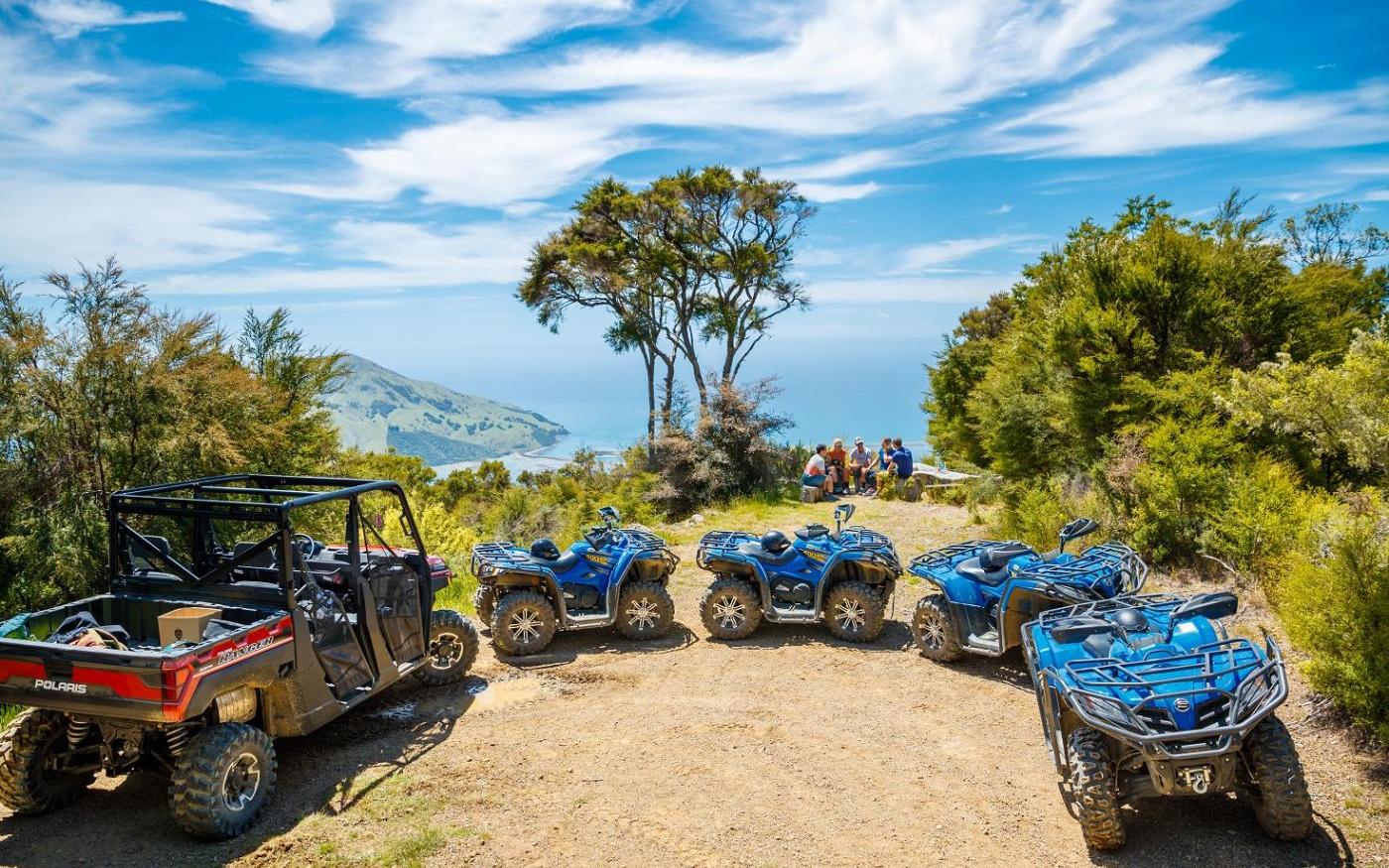 Cable Bay Adventure Park