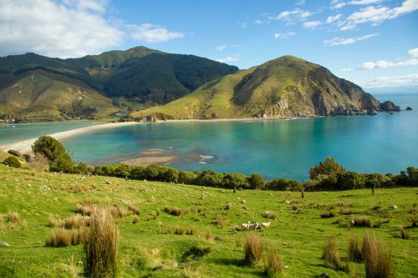 Cable Bay by Pepin Island Farm