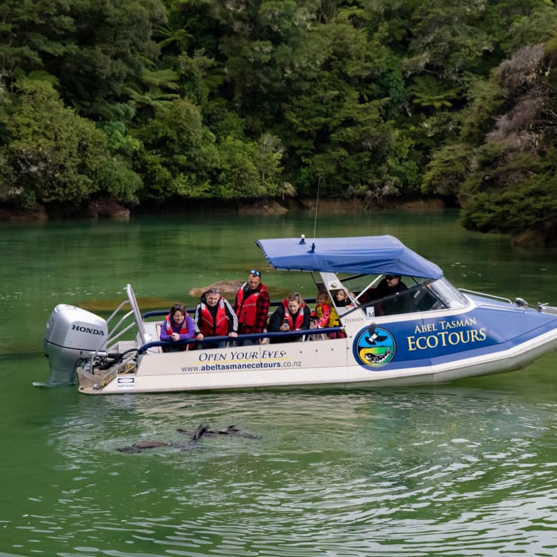 Abel Tasman Eco Tours