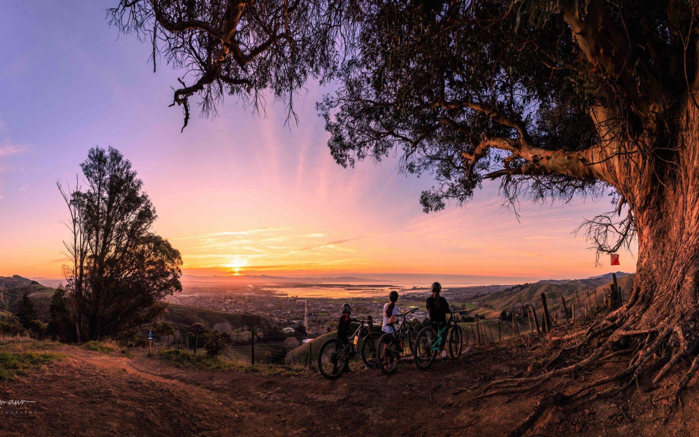 Silvan Forest MTB Park by Dwayne J