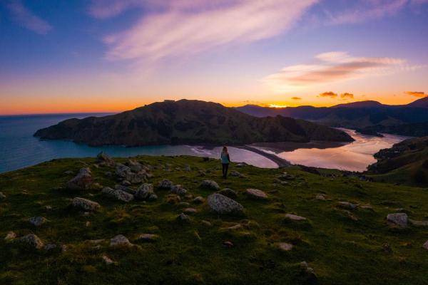 Cable Bay Walkway taken by Bare Kiwi