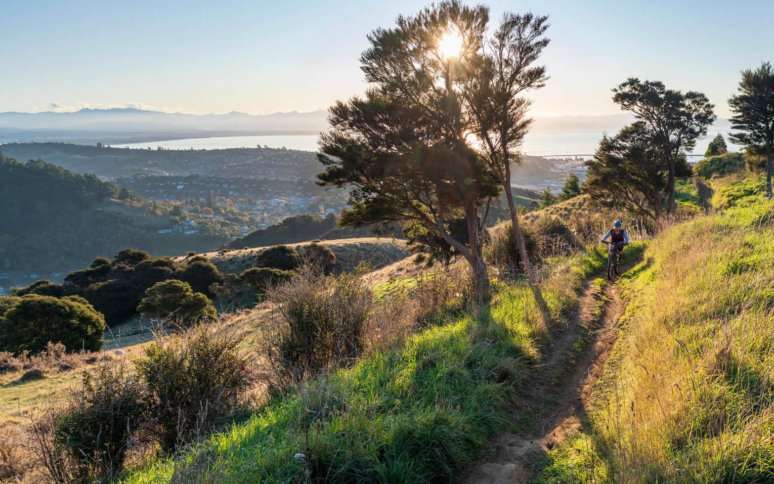 Mountain Biking in Nelson City Codgers MTB Park