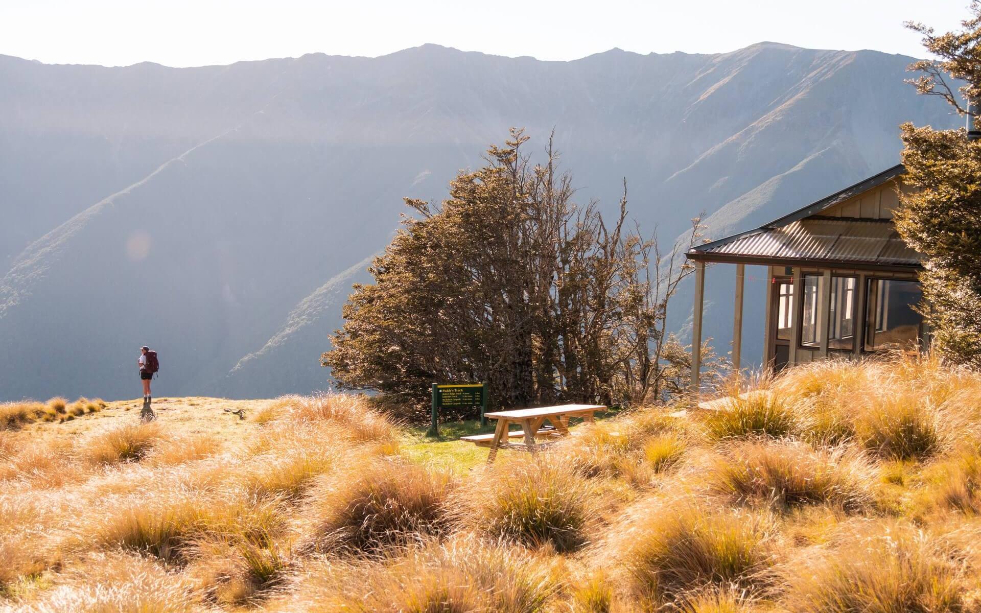 Mount Robert Hut Nelson Lake National Park