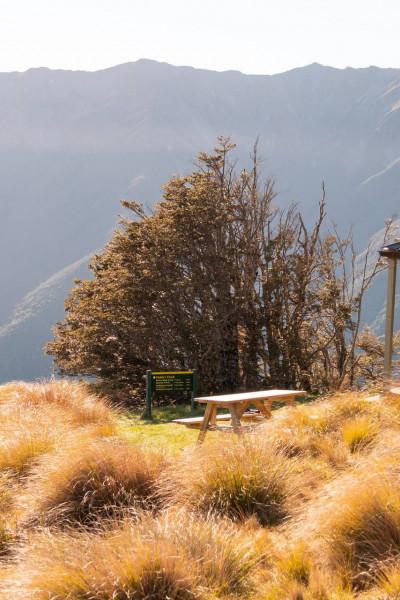 Mount Robert Hut Nelson Lake National Park