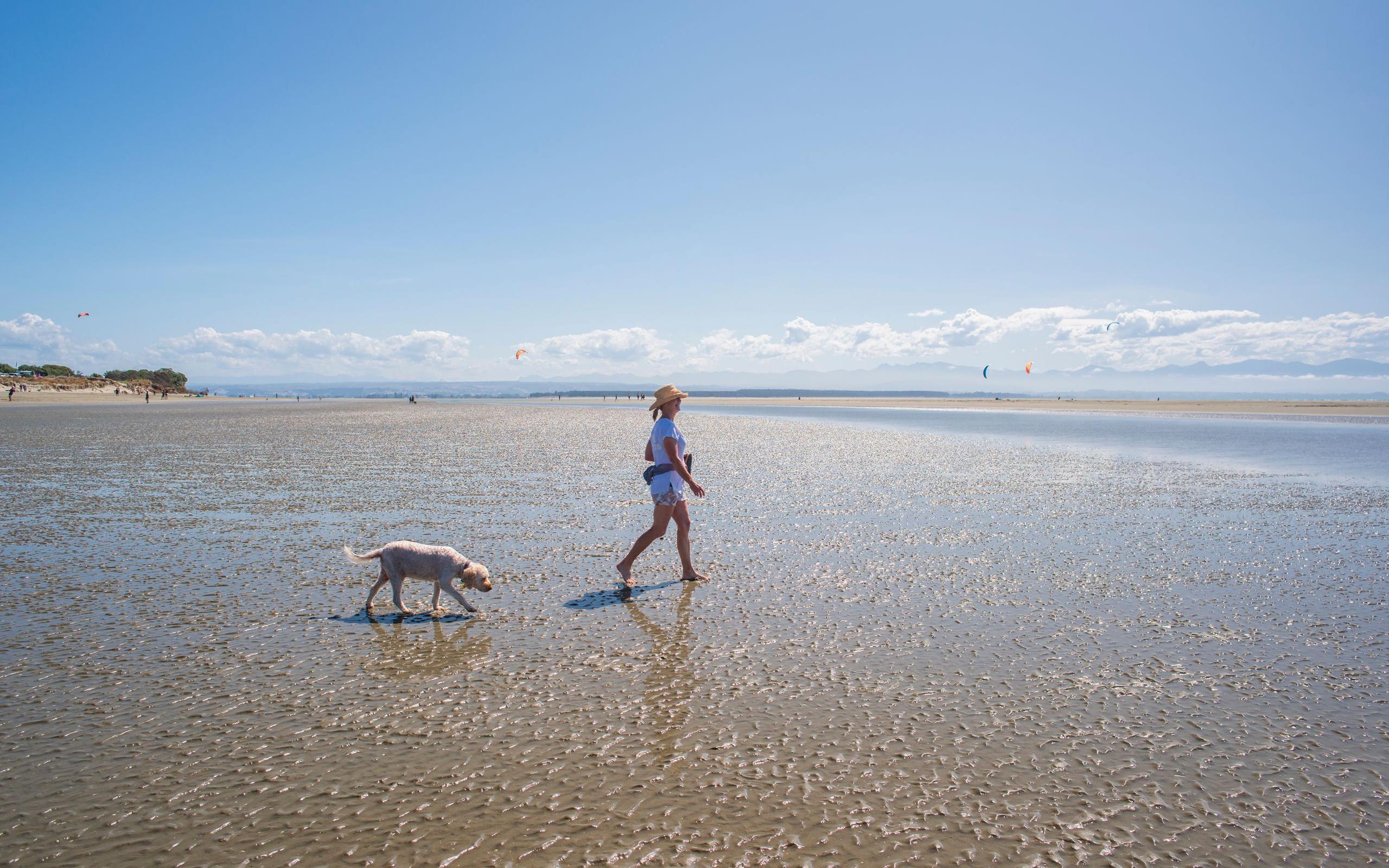 Walking Dog on Beach Print Res taken by Oliver Weber credit www.nelsontasman.nz