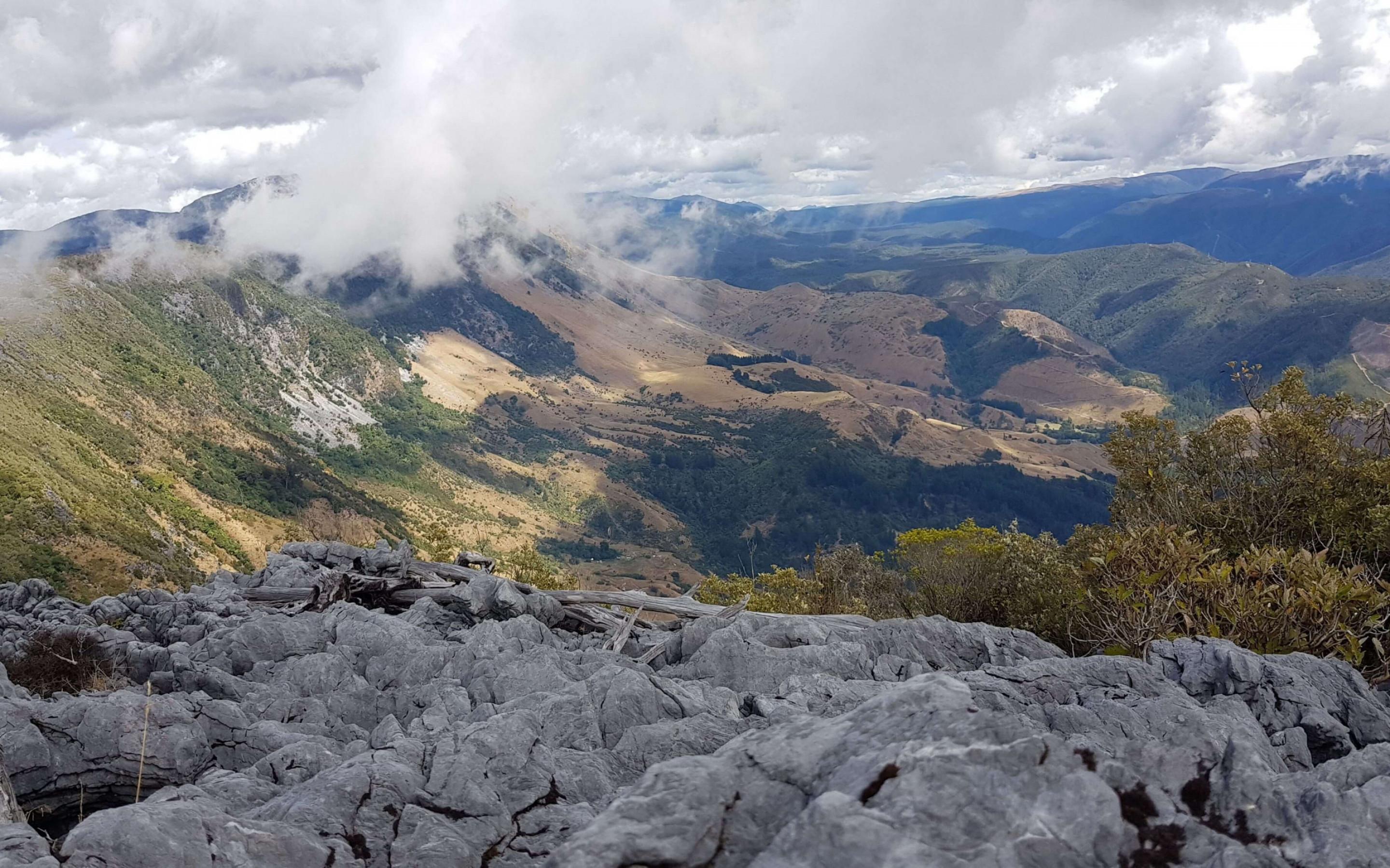 Takaka Hill by Tinycamper