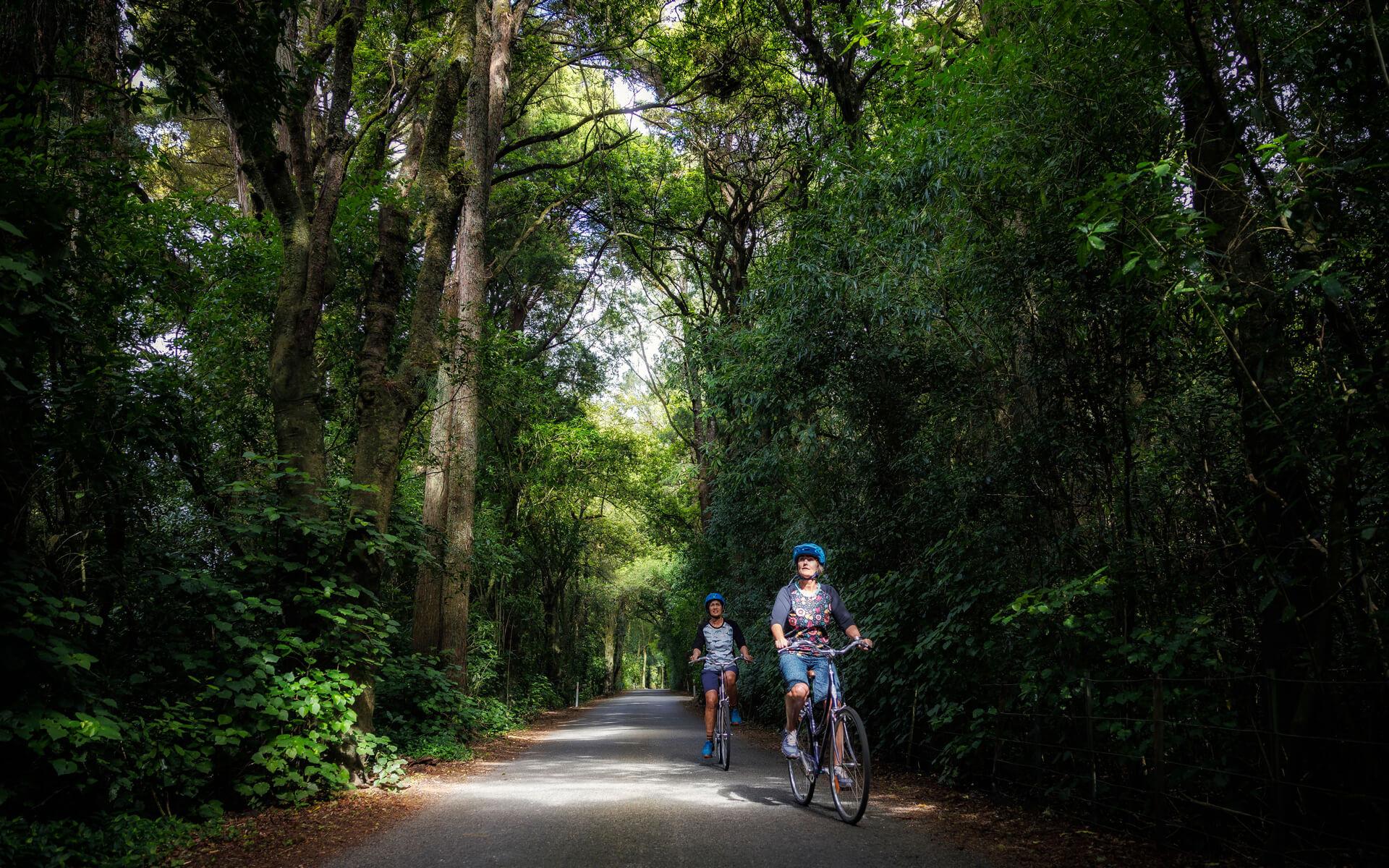 Cycling Motueka River West Bank Road Great Taste Trail