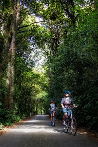 Cycling Motueka River West Bank Road Great Taste Trail