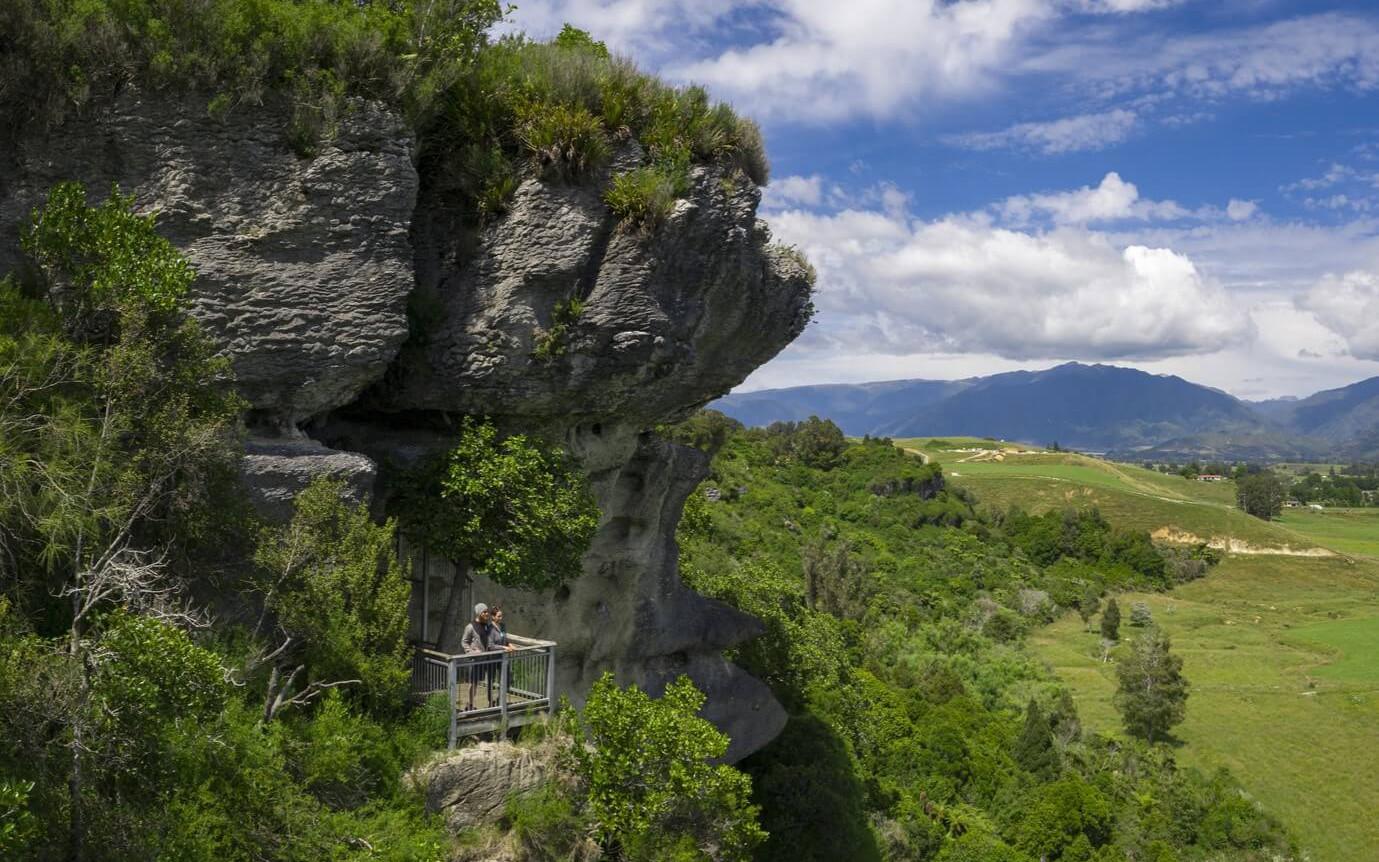 The Grove Scenic Reserve Takaka Golden Bay