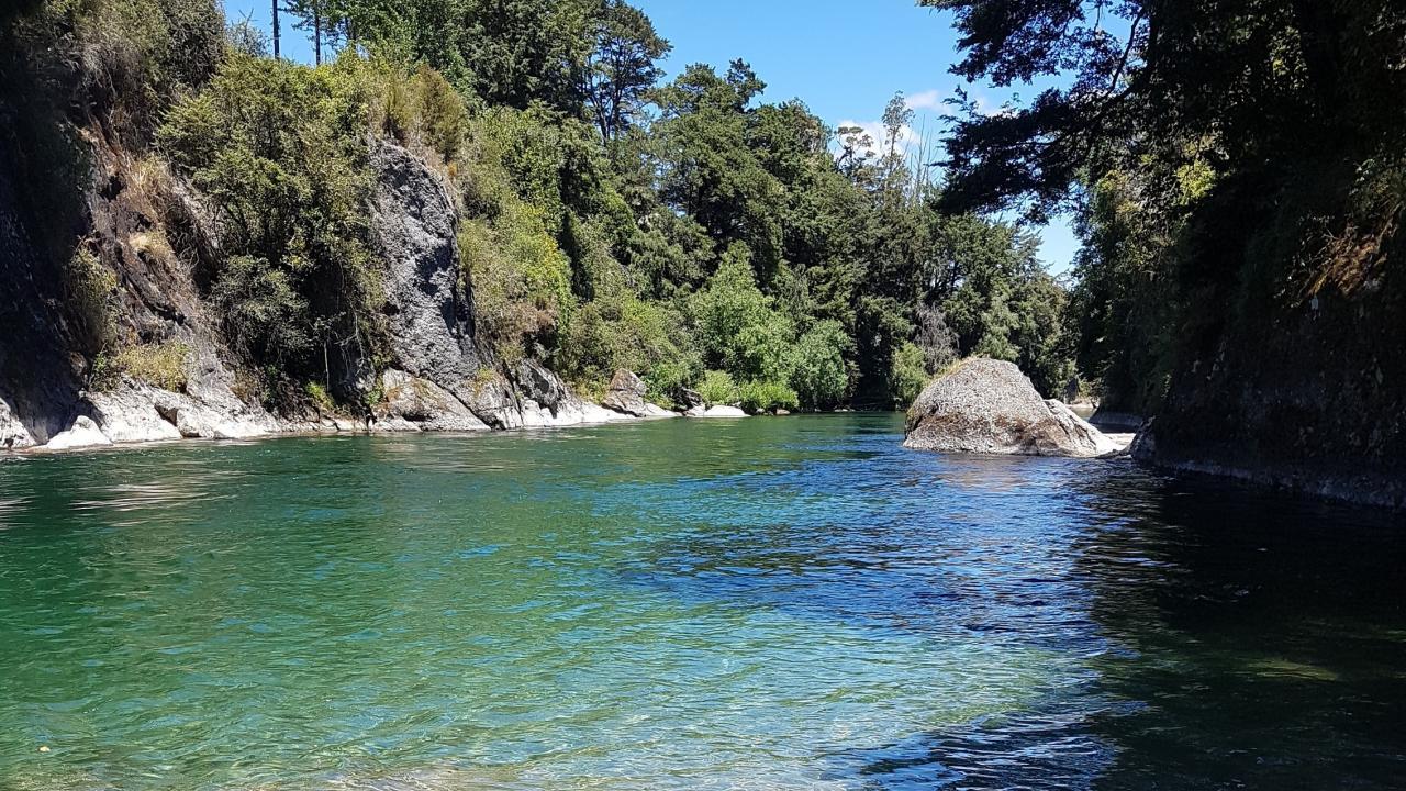 Swimming hole and fishing in the Buller, right from the campground.