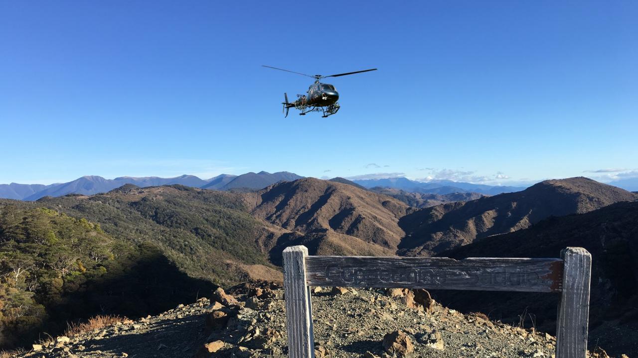 Heli-Bike with Helicopters Nelson