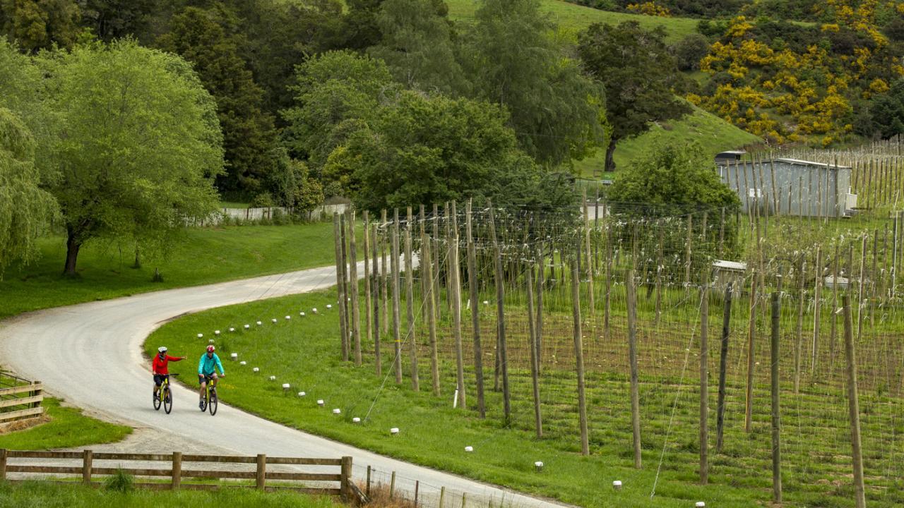 Riding past hop fields