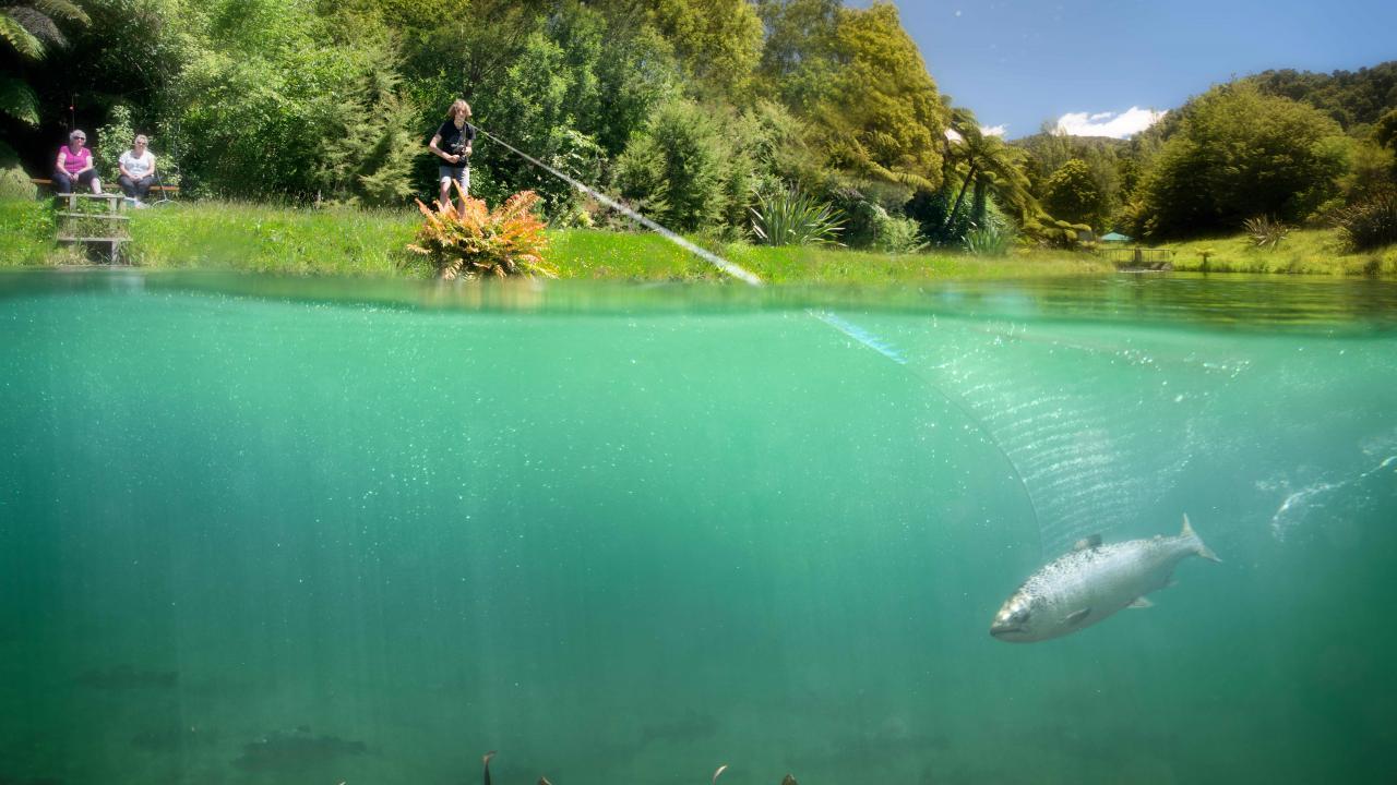 Anatoki Salmon fishing lake