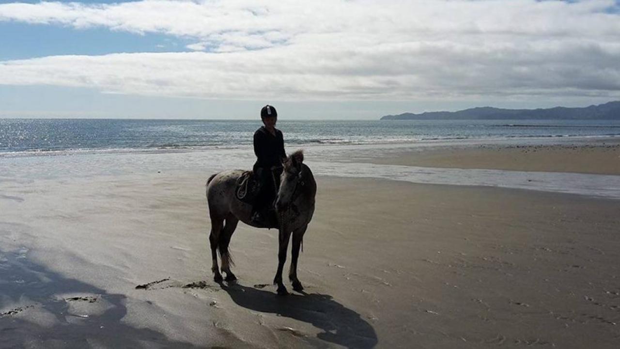 Horse riding on the beach