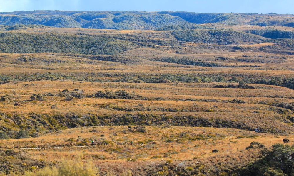 The Heaphy Track is only open to bikes from 1 May to the end of November, which makes this full loop a non-summer and potentially precarious weather scenario.