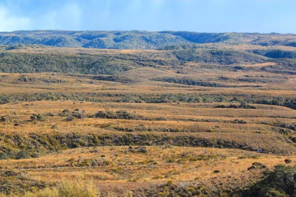 The Heaphy Track is only open to bikes from 1 May to the end of November, which makes this full loop a non-summer and potentially precarious weather scenario.