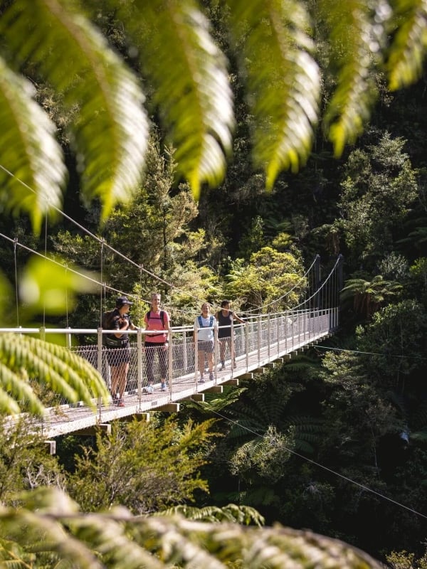 Falls River Swing Bridge offers elevated views over the pristine channel below.