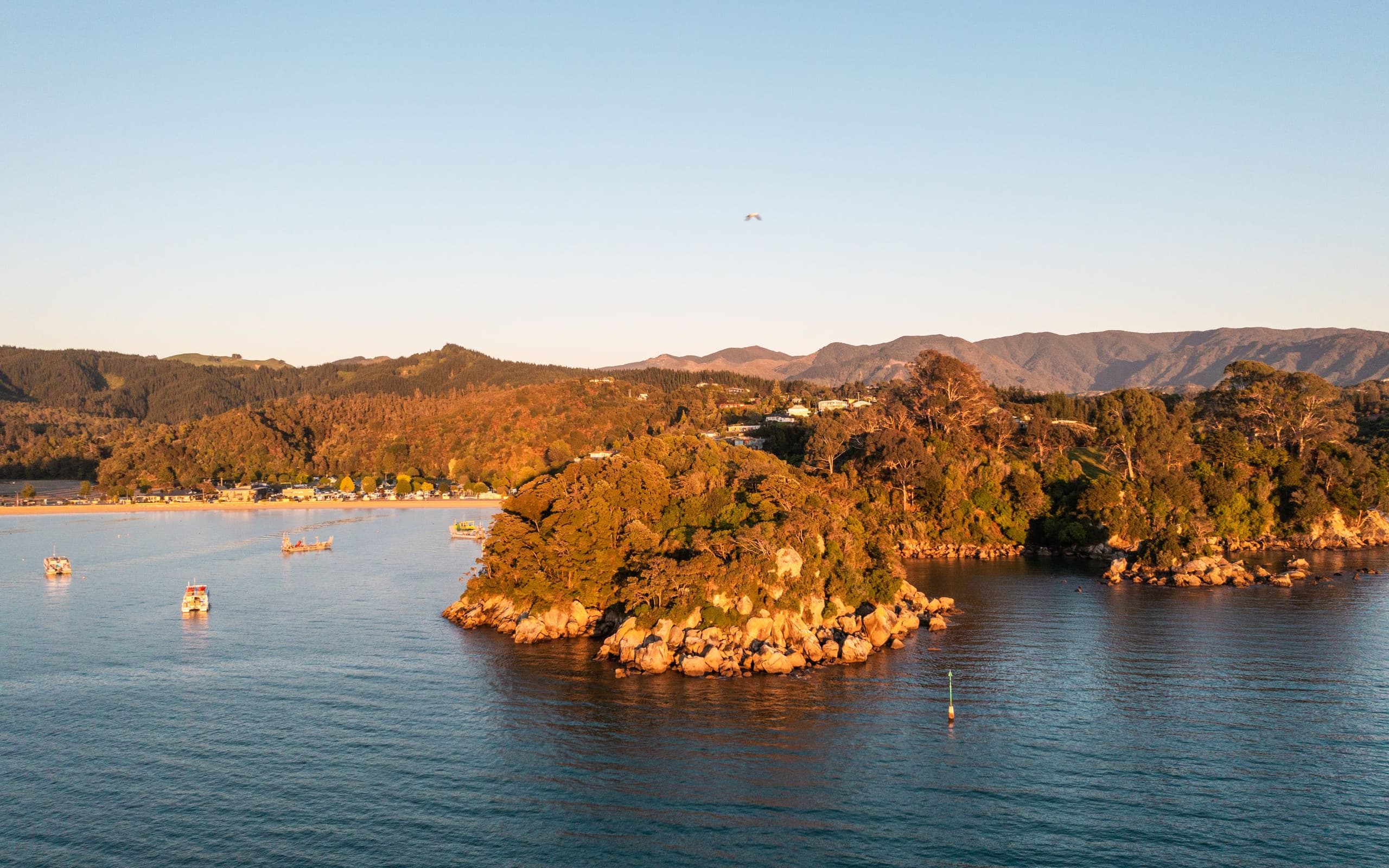 Kaiteriteri Beach is all golden sand, blue water, and sunshine.