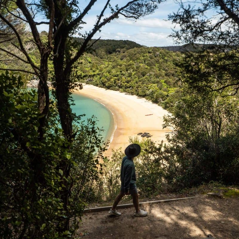 Te Puketea Bay Abel Tasman Coast Track by Roady