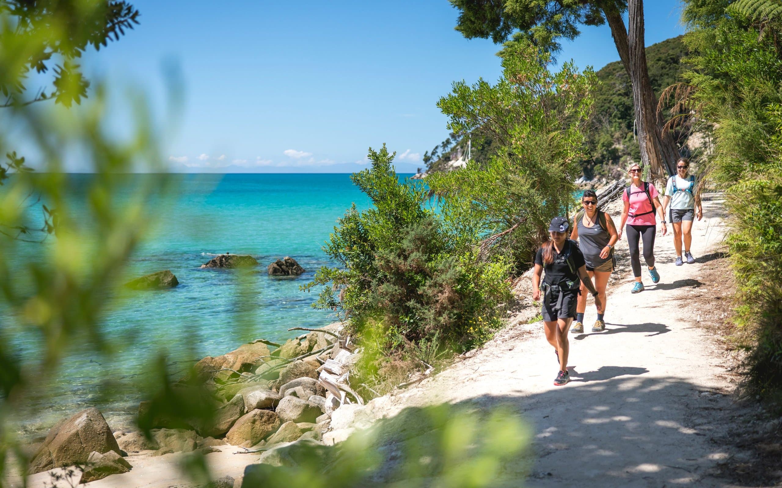 The Abel Tasman Coast Track is well-formed and easy to follow.