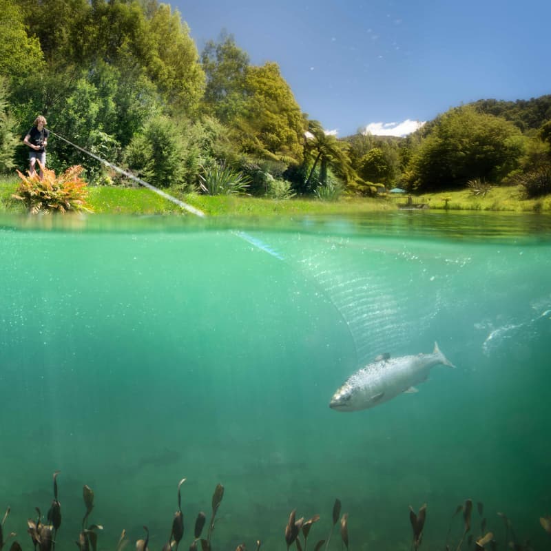 Catching salmon at Anatoki