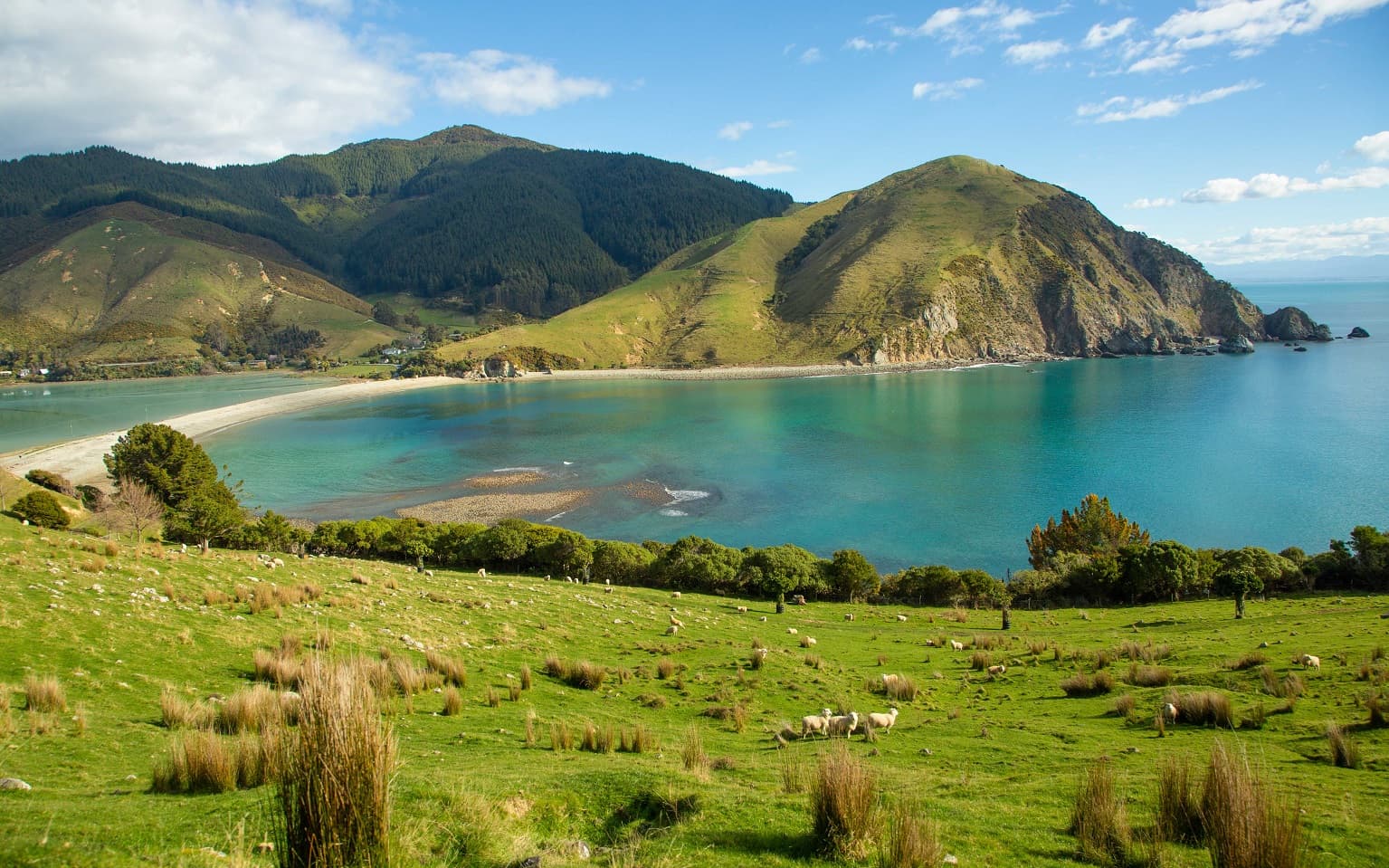 Cable Bay by Pepin Island Farm