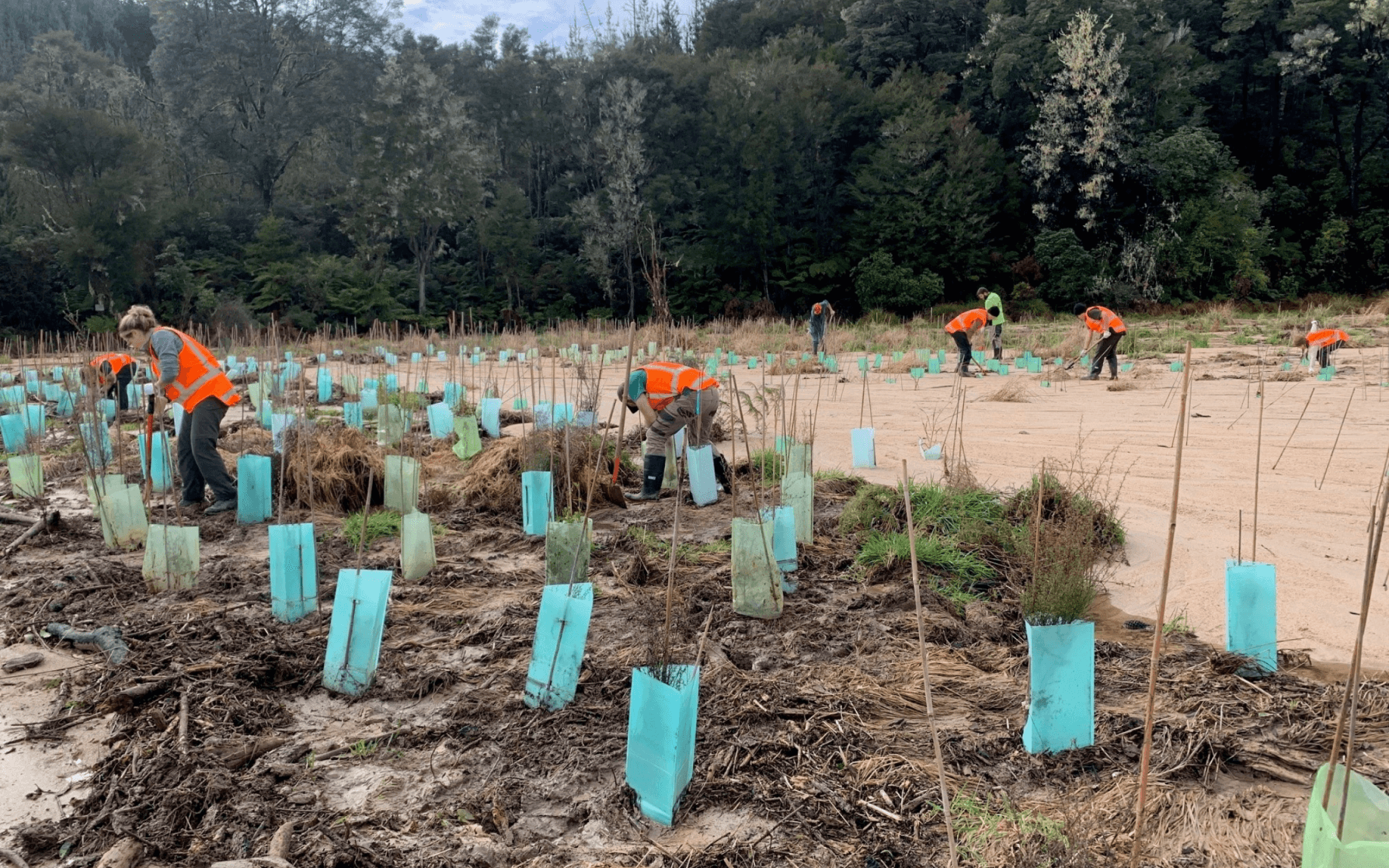 NMIT Trainee Rangers support flood recovery efforts across Tasman