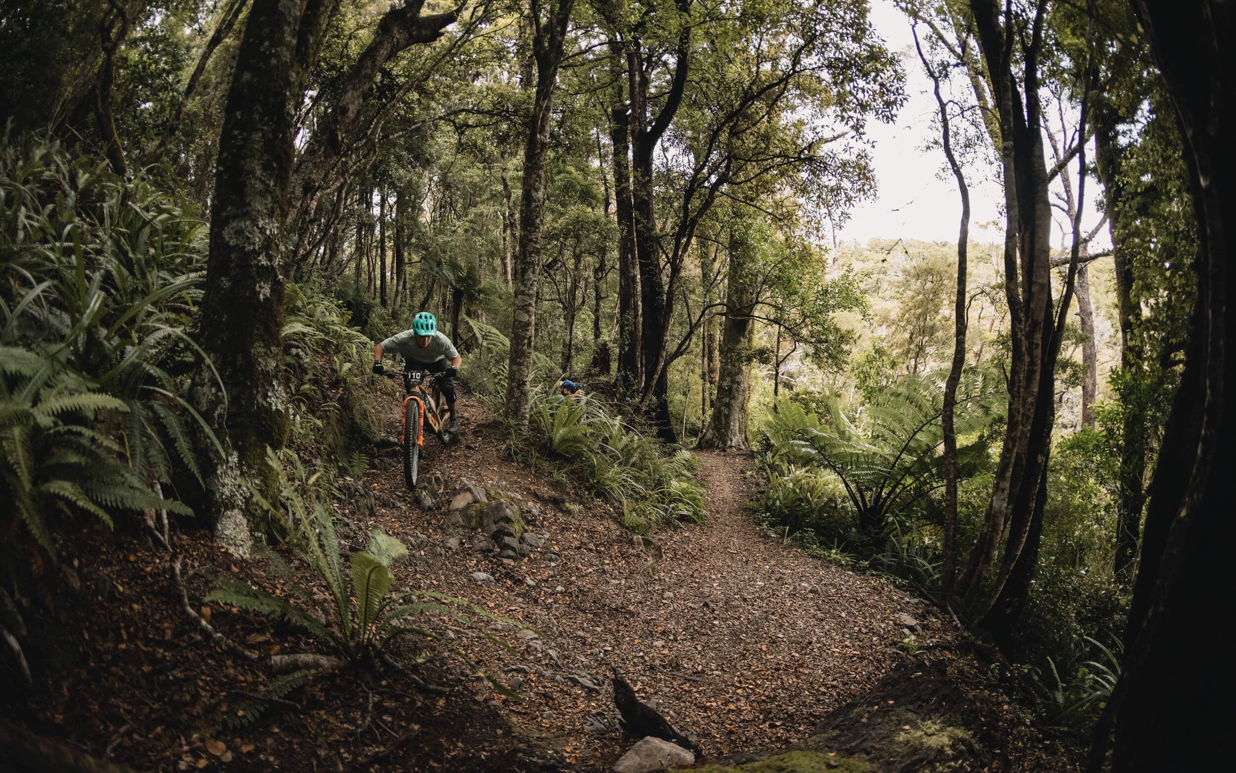Matt races down the Rameka Track. It was the first year the event has run, and gained assistance from the Nelson Regional Development Agency.