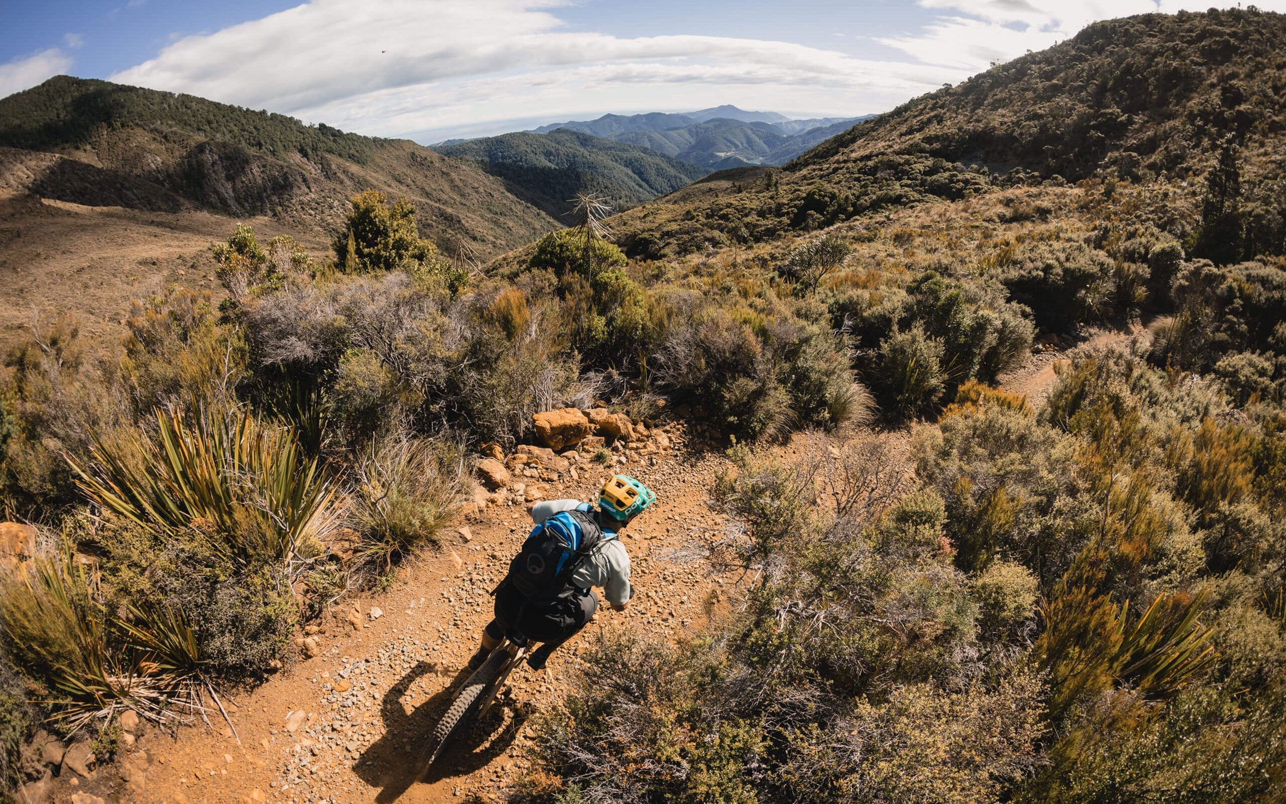 Matt Fairbrother on course during the 2024 NZ MTB Rally.