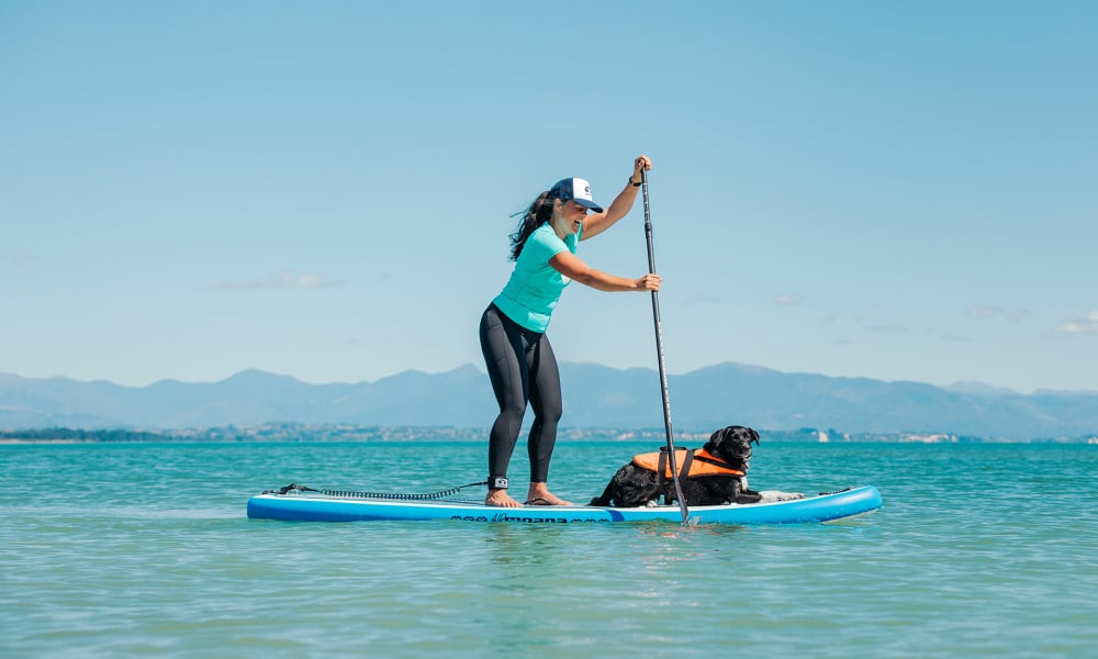Moana SUP Dog Friendly Tahunanui by Aimee Jules