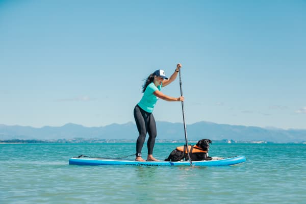 Moana SUP Dog Friendly Tahunanui by Aimee Jules