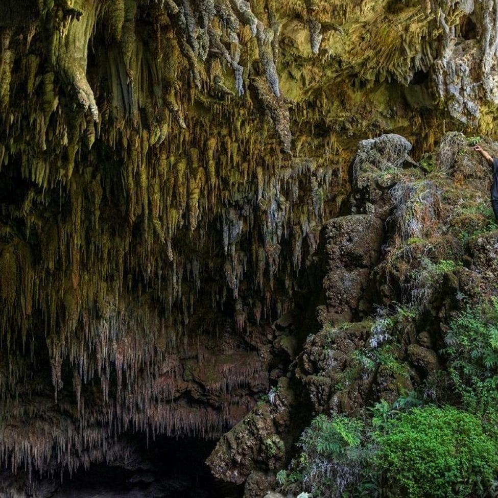 Rawhiti Caves Web Res taken by Oliver Weber credit www3.nelsontasman.nz