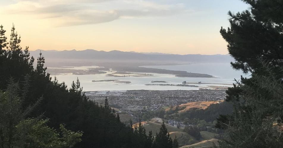 barnicoat walkway by gisselle purcell