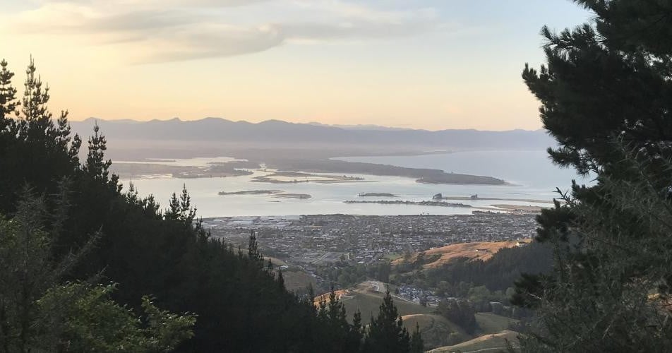 barnicoat walkway by gisselle purcell