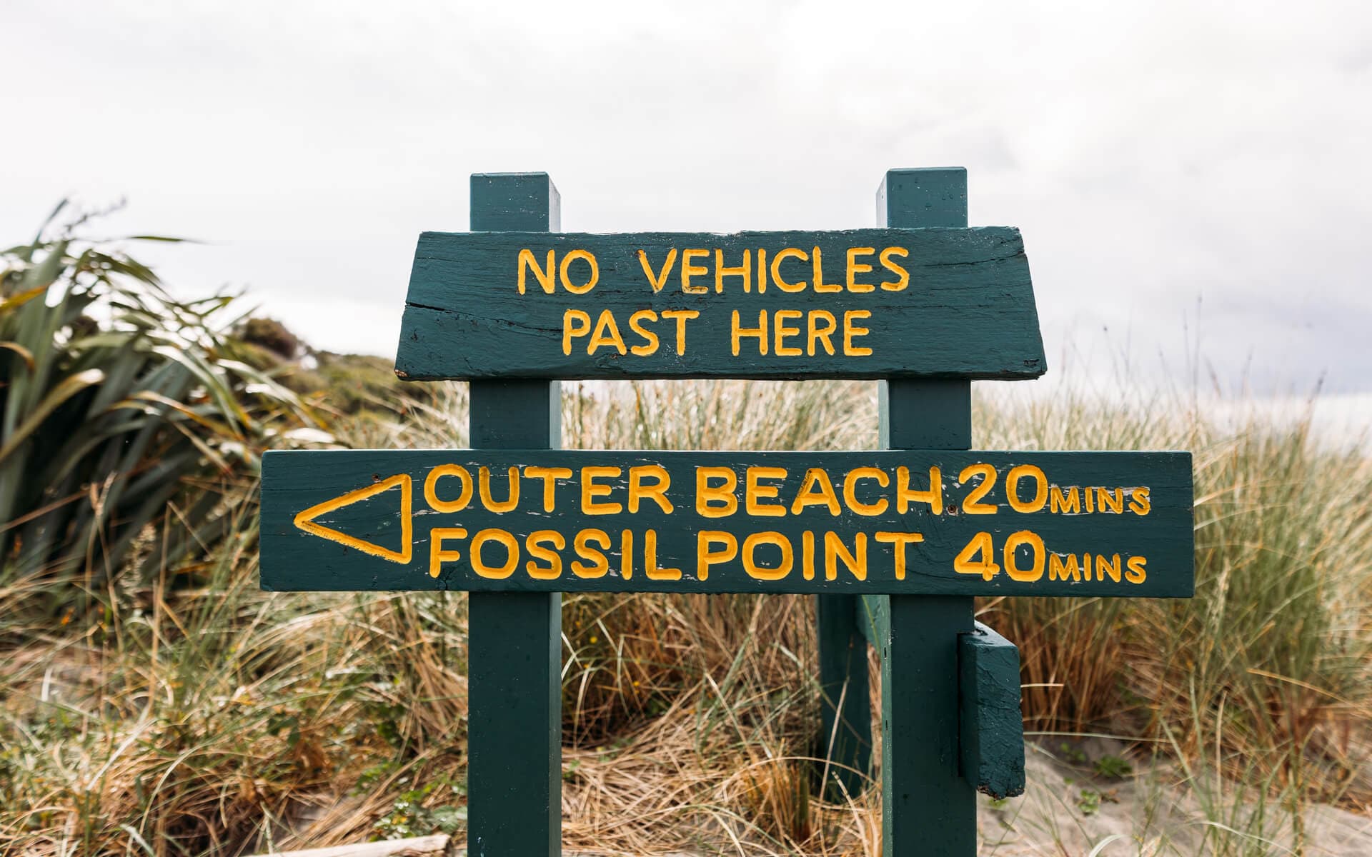 Farewell Spit is a remote coastal landmark best explored with a guided tour.