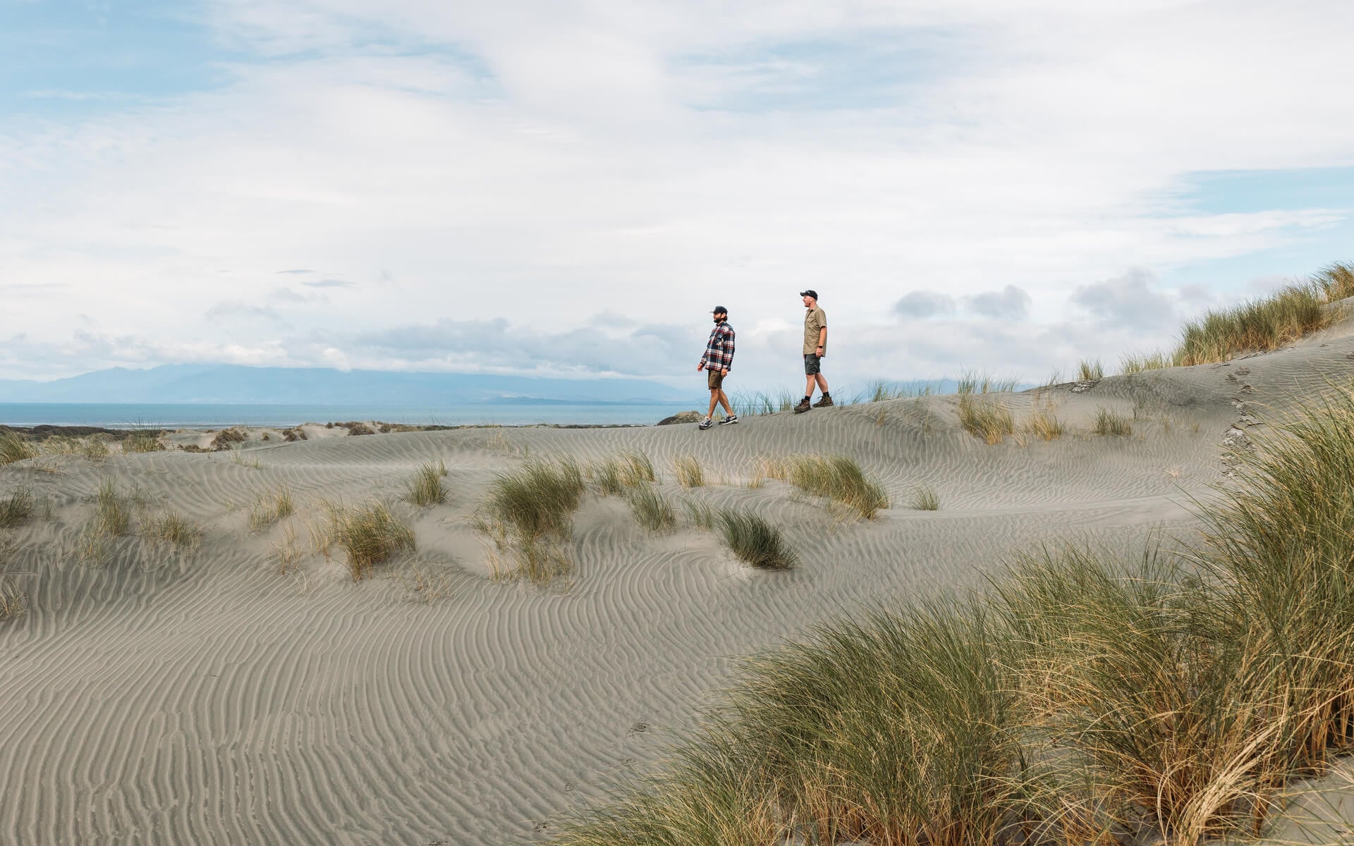 Farewell Spit is one of the longest, and most ecologically important sand spits anywhere in the world.