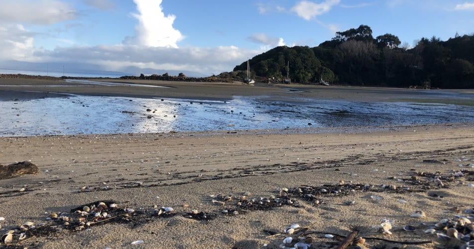 Ligar Bay credit Golden Bay Kayaks