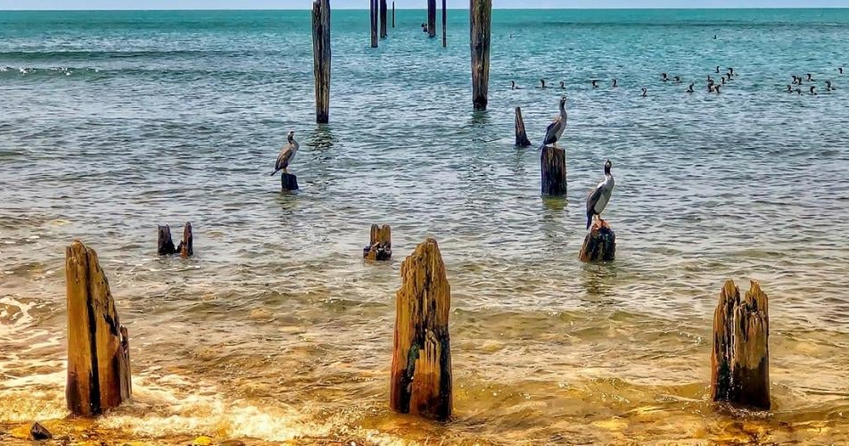 Onekaka Wharf by Amber Winter