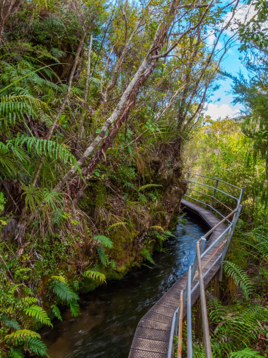 Pupu Hydro Walkway