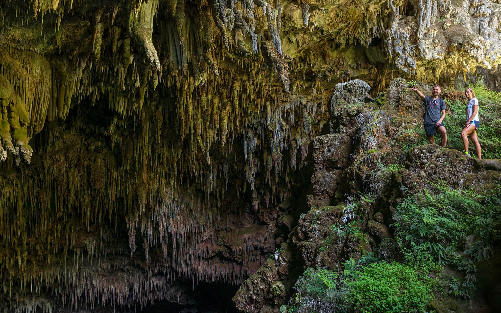 Rawhiti Caves in Golden Bay