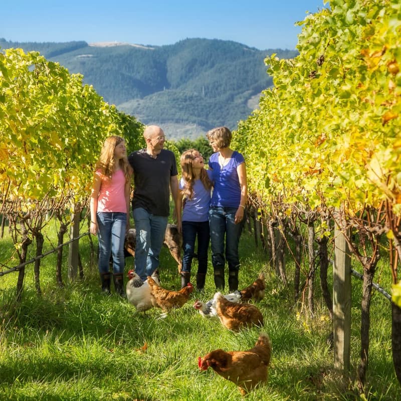 Richmond Plains Winery