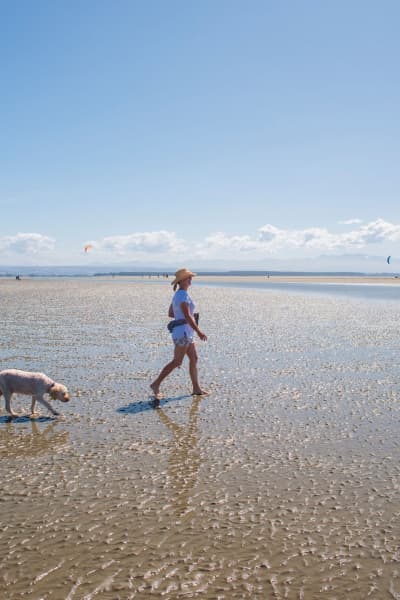Walking Dog on Beach Print Res taken by Oliver Weber credit www.nelsontasman.nz