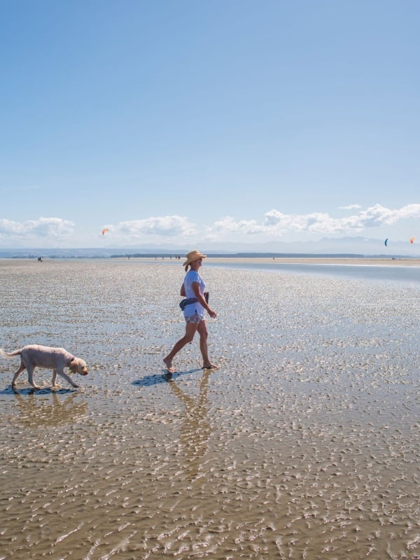 Walking Dog on Beach Print Res taken by Oliver Weber credit www.nelsontasman.nz
