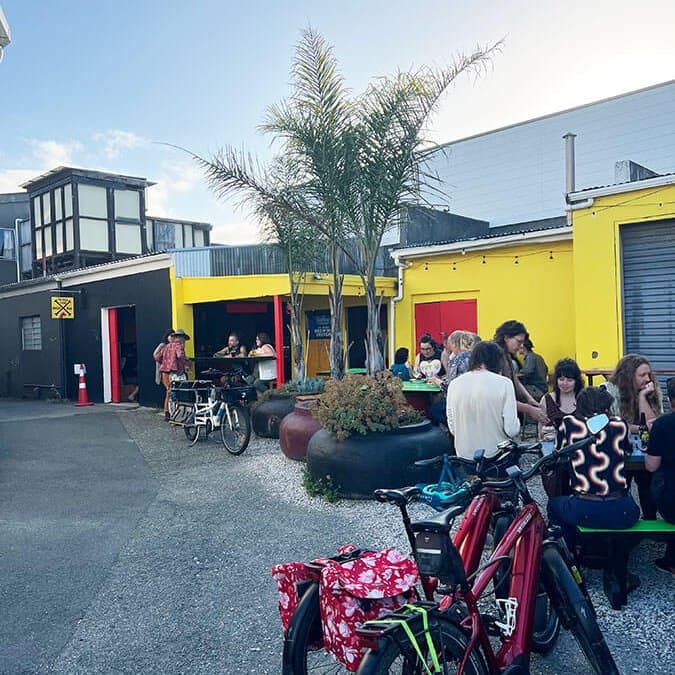 The Dogs Bone Nelson 1